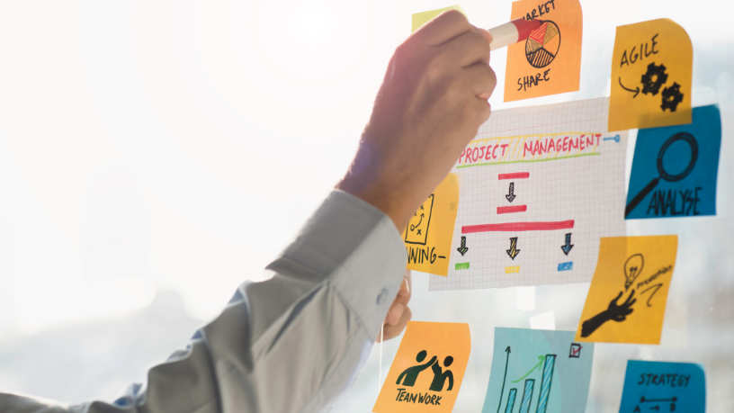 Alfredo Moreira Filho compartilha como sua vivência no campo moldou valores que hoje sustentam seu sucesso na gestão empresarial.