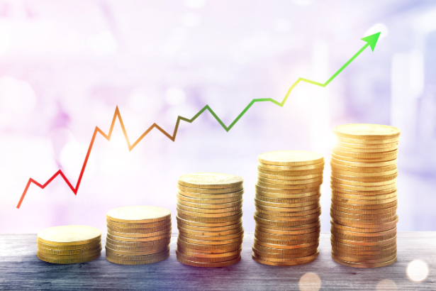 Ediney Jara de Oliveira analisa o tamanho da economia informal, seus impactos no desenvolvimento e os principais caminhos para a formalização.